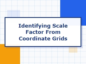 Mastering Scale Factor Identification on Grids